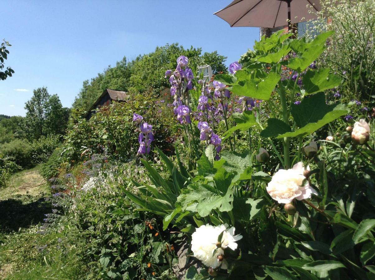 Le Ru Du Passage Villa Sart-lez-Spa Eksteriør bilde